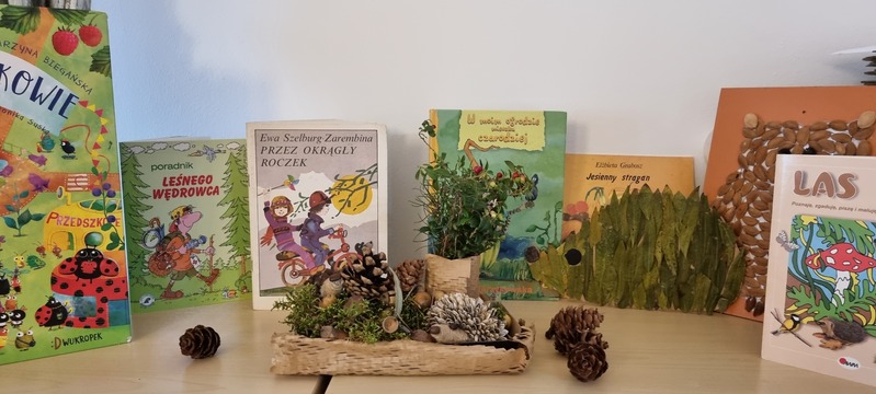 Kolekcja książek dla dzieci, ustawionych na stoliku obok ozdobnych szyszek