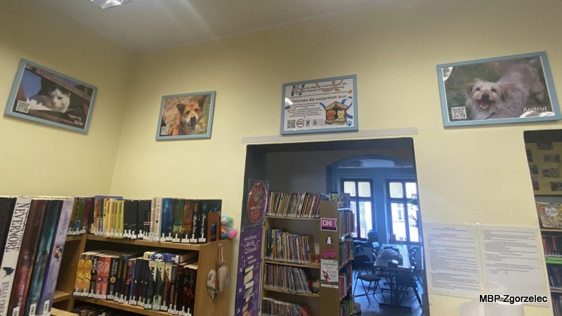 Wnętrze biblioteki z&nbsp;regałami pełnymi książek, nad którymi na ścianie wiszą oprawione zdjęcia zwierząt – psów i&nbsp;kotów – promujące akcję „Biblioteka dla wszystkich istot”.
