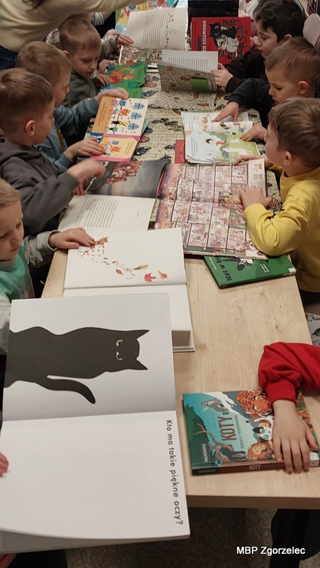 Grupa dzieci siedzi przy długim stole w&nbsp;czytelni biblioteki, każde z&nbsp;dziećmi ma przed sobą otwartą książkę z&nbsp;kolorowymi ilustracjami. Na stole leży wiele książek o&nbsp;kotach i&nbsp;innych bohaterach dziecięcej literatury. Widać duże, otwarte albumy, książki obrazkowe oraz komiksy, a&nbsp;dzieci skupiają uwagę na oglądaniu ilustracji. W&nbsp;tle znajdują się półki z&nbsp;książkami. Zdjęcie wykonano podczas zajęć bibliotecznych poświęconych Światowemu Dniu Kota w&nbsp;Oddziale dla Dzieci i&nbsp;Młodzieży MBP Zgorzelec, 16 lutego 2026 r.